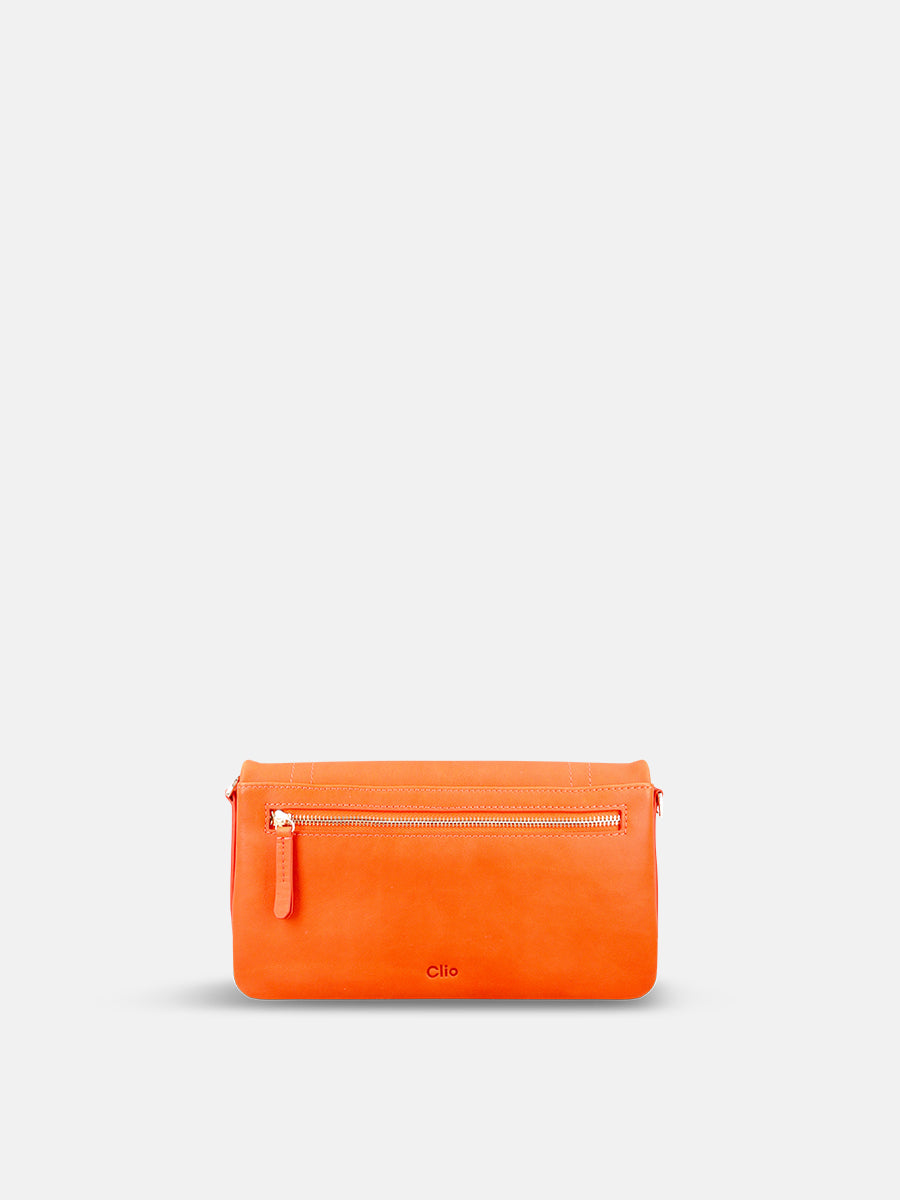 #color_ORANGE